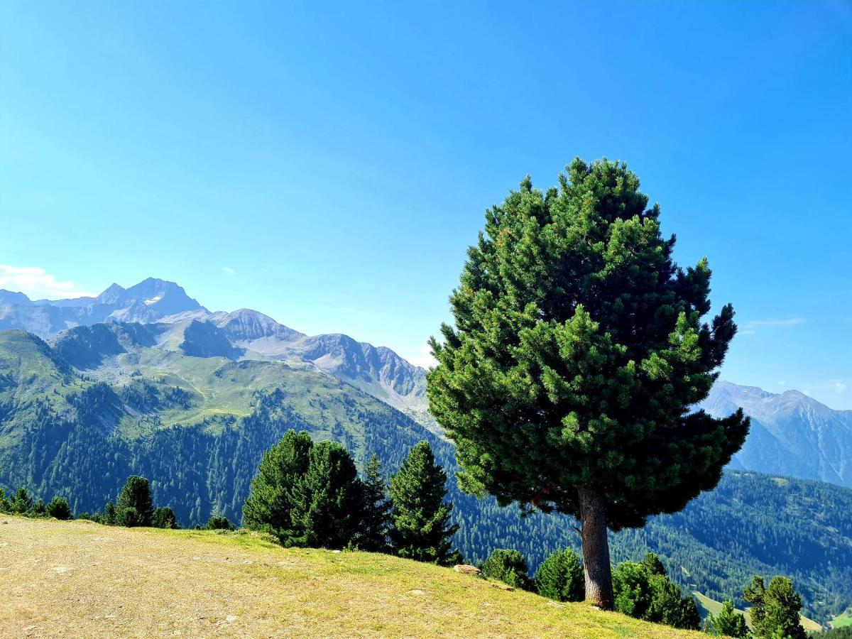 Bergnest Oetztal - Appartements 엄하우젠 외부 사진
